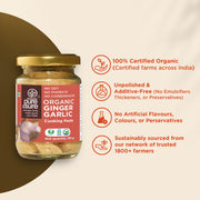 Organic Ginger Garlic Paste