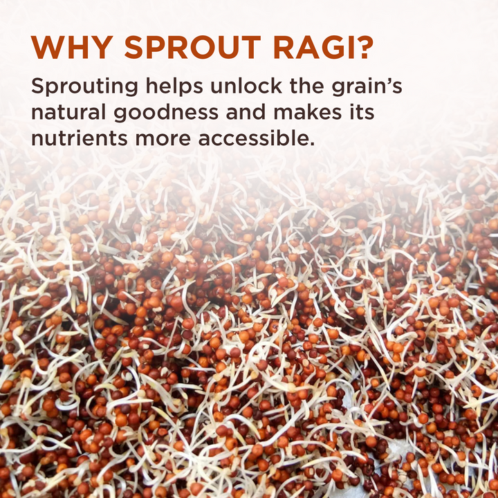 Organic Sprouted Ragi Flour