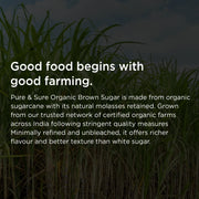 Organic Sugar Brown