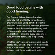 Organic Green Gram Whole