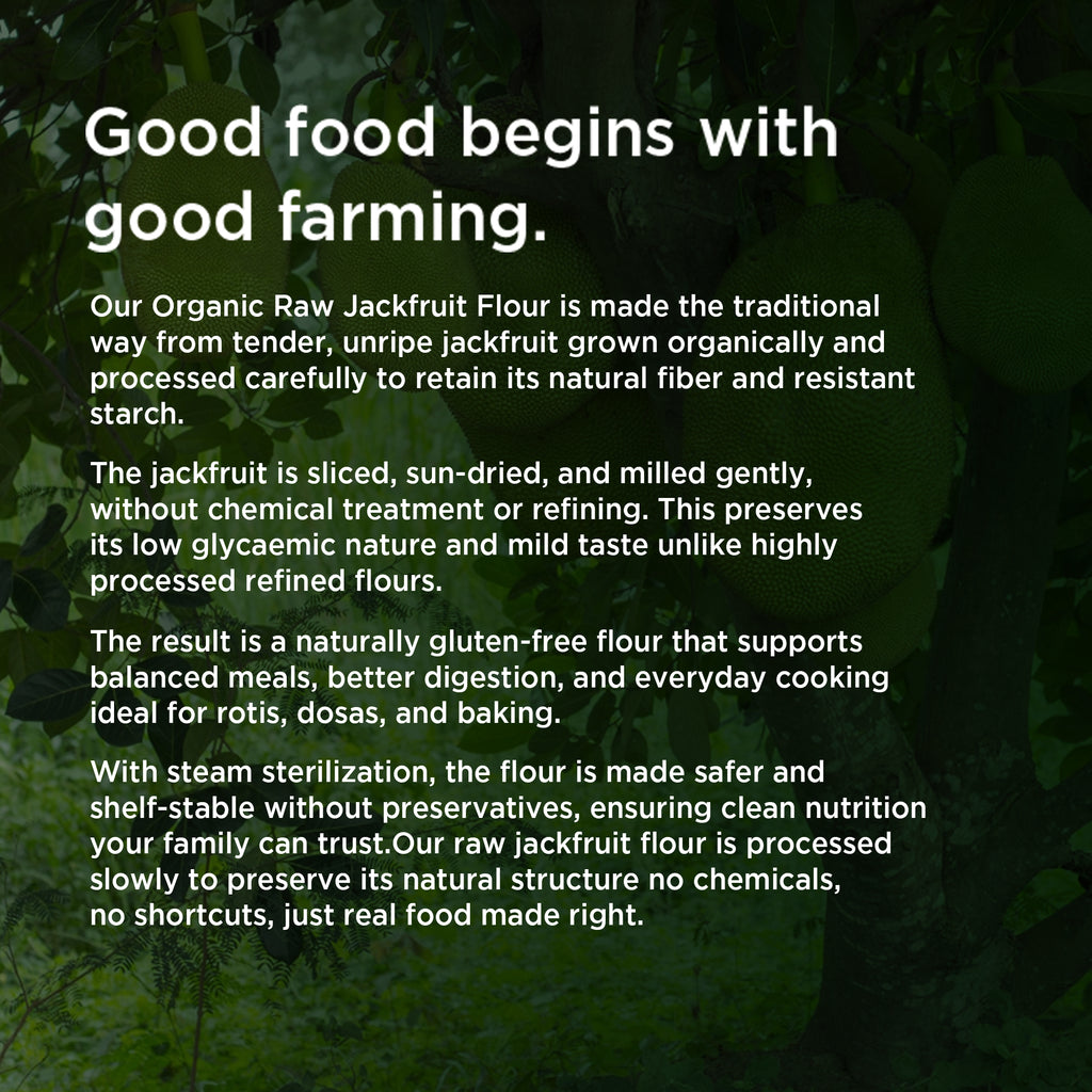 Organic Raw Jackfruit Flour 500Gms 6
