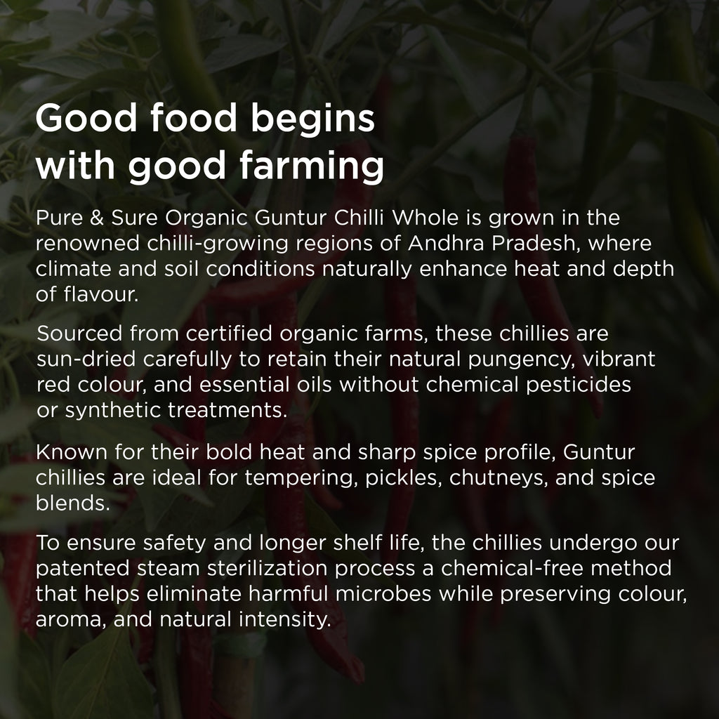 Organic Guntur Chilly Whole-100Gms 6