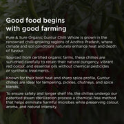 Organic Guntur Chilli Whole