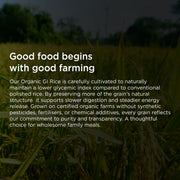 Organic Low GI Rice