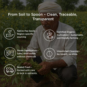 Organic Green Peas Dried