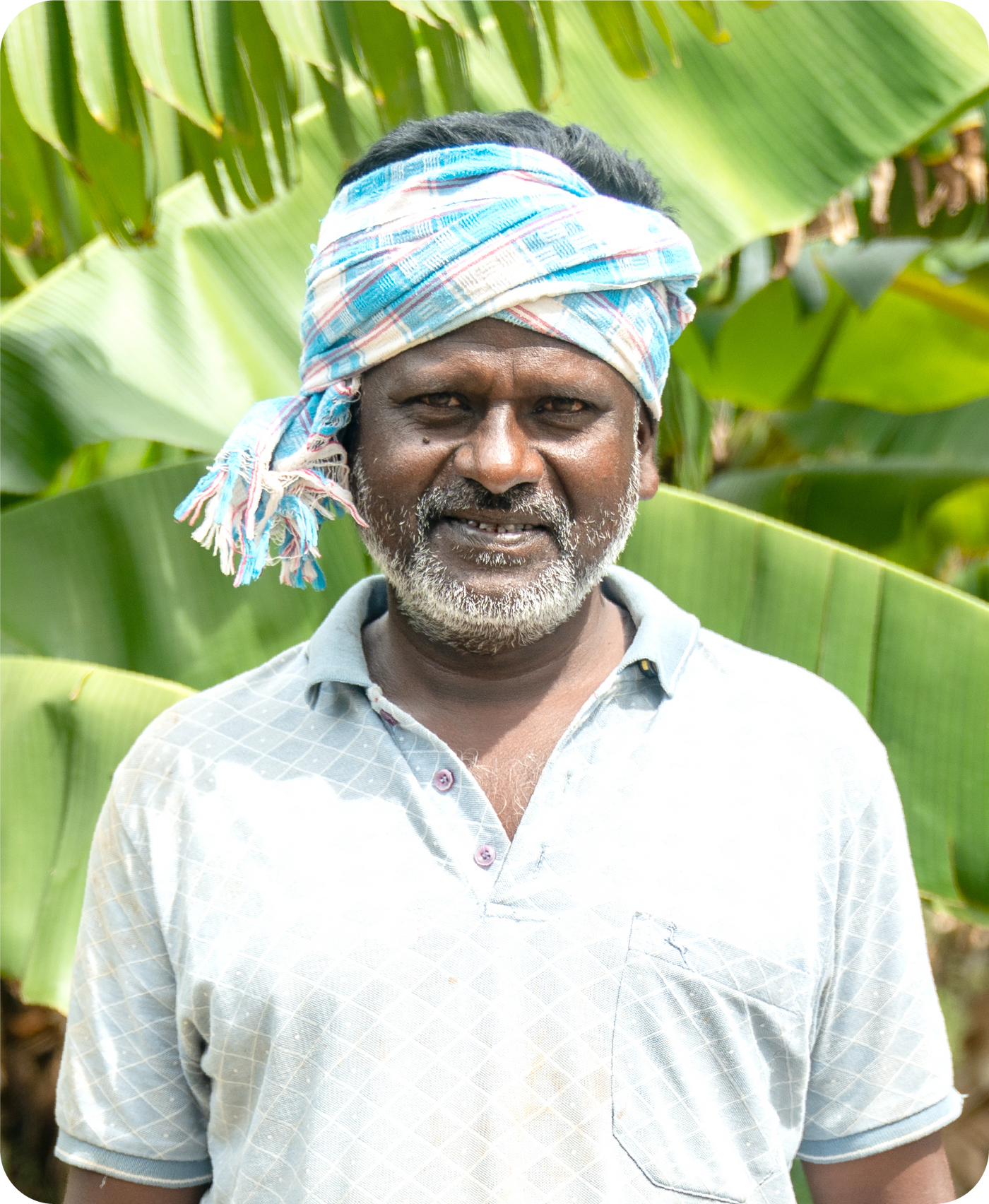 Krishnappa