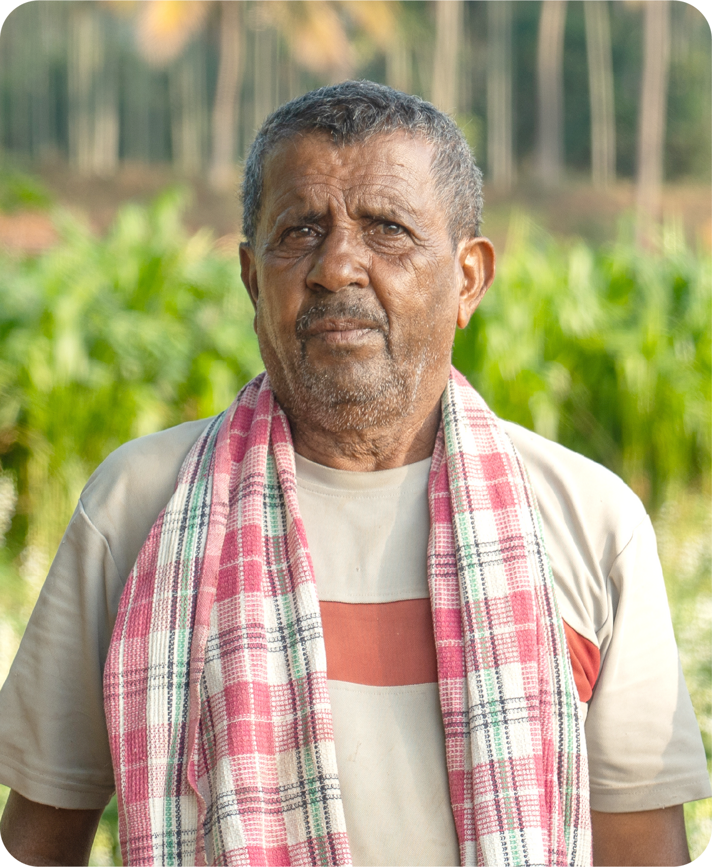 Narasimhulu